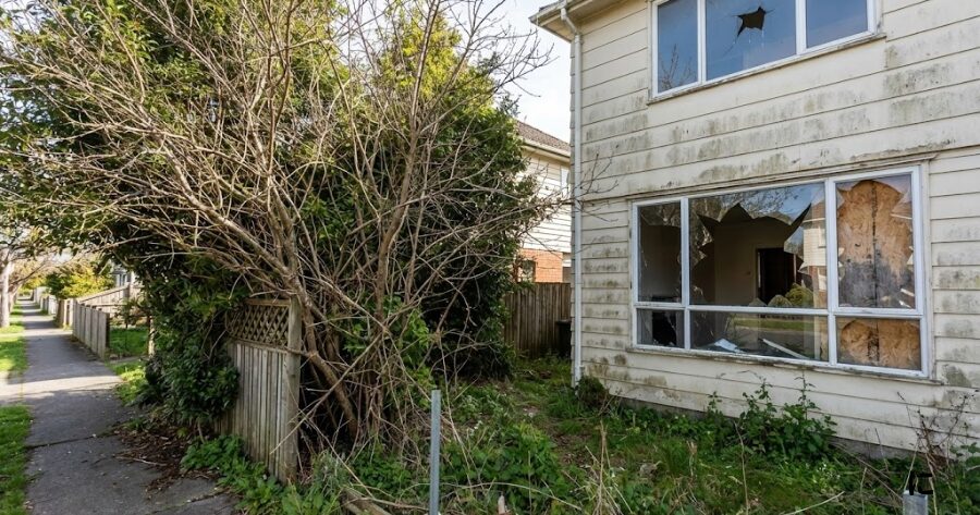「庭木が越境している空き家」や「窓が割れている空き家」のリアルな写真